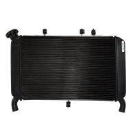 Motorbike For Yamaha MT-09 FZ-09 FZ09 MT09 V1 2013 2014 2015 2016 Radiator Cooler Cooling Water Tank