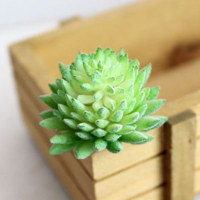 [AYIQ Flower Shop] 1ชิ้นปลอมสีเขียวประดิษฐ์พืชฉ่ำบ้านและสวนสำหรับในร่มแสดงตารางตกแต่งห้องนั่งเล่นของขวัญแต่งงาน