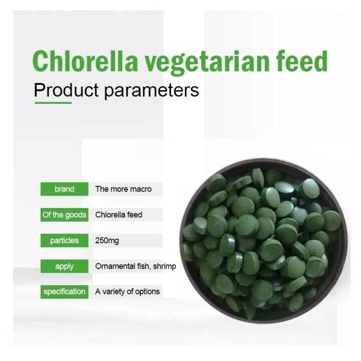 Aquarium Spirulina Tablets Lazada PH