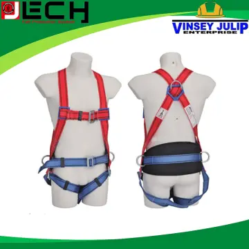 Shop Full Body Harness With Back Support with great discounts and