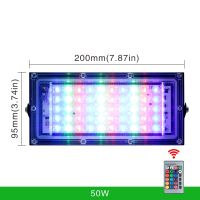 100W 50W RGB Flood Light Lamp Outdoor AC220V Garden Lighting Floodlight IP65 Waterproof Reflector Led Rgb Spotlight with Remote