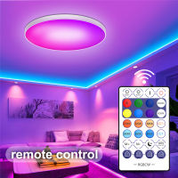 30W LED Ceiling Lamp Smart WIFI Ceiling Lighting For Living Room Bedroom RGB DIY Color Ceiling Lamp With Micr Home