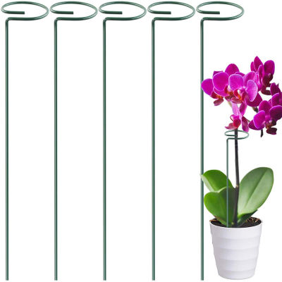 Bonsai Support Tool Backyard Metal Garden Hot Sale Support Ring Flowers Support Stand