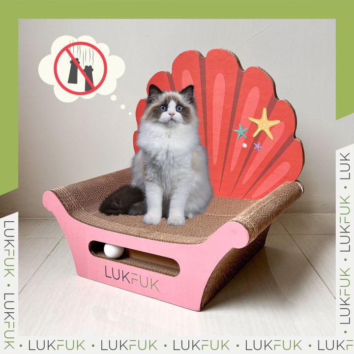 lukfuk-บัลลงก์เชลล์-รางไข่มุก-จากกระดาษลูกฟูก-cat-shell-throne-amp-pearl-track