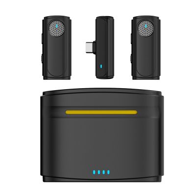 Wireless Lavalier Microphone Mini Portable Lapel Mic Dual-Channel Audio Video Voice Recording for Live Audio