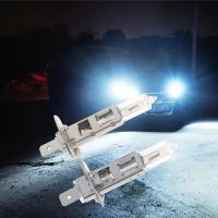 12V H1 55W Xenon Quartz Halogen Bulb Bulbs All Weather Hid Fog Light Headlamps H1 halogen bulb accessori auto