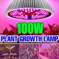 หลอดไฟ DFYER56 LED แบบไฮโดรโปนิคในร่มโคมไฟปลูกพืชแบบไฟเติบโตหลอดไฟ Grow สเปกตรัมเต็มรูปแบบ