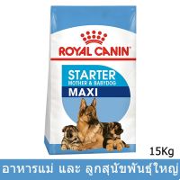 (ลด50%) Royal Canin Maxi Starter Mother&amp;Baby Dog15Kgอาหารสุนัข รอยัลคานินแม่สุนัขพันธุ์ใหญ่ช่วงตั้งท้องและลูกสุนัขหลังหย่านม15กก เฉพาะวันนี้เท่านั้น !