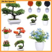 SHIRUI 1 Set ของขวัญ ต้นสน Topiary ดอกเบญจมาศแฮนด์เมด กระถางจำลอง บอนไซประดิษฐ์ พืชเหมือนจริง ของตกแต่งบ้าน