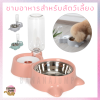 BJ Pet - ชามอาหารสัตว์เลี้ยง ชามน้ำอัตโนมัติ ชามสแตนเลส ชามอาหารหมา ชามอาหารแมว สำหรับสัตว์เลี้ยง