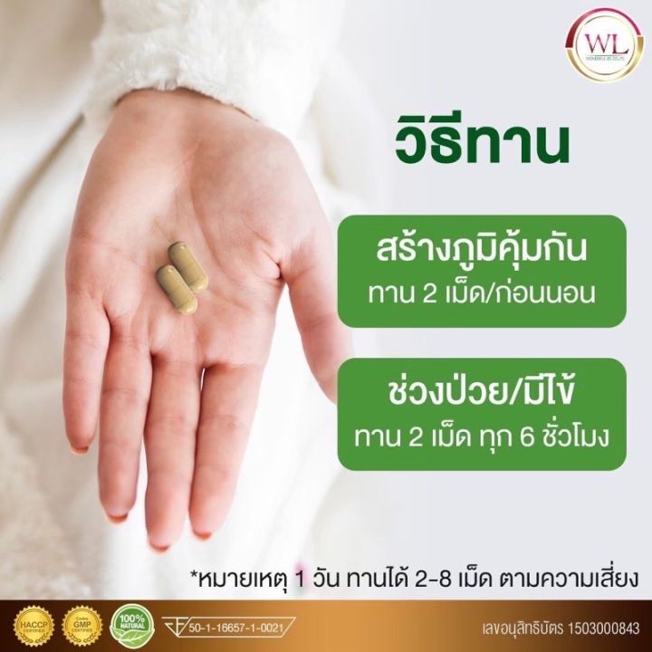 exพลูคาว-2-แถม-4-อาหารเสริมผู้สูงอายุ-บำรุงสุขภาพ-ลดภูมิแพ้-หอบหืด-hiv-พลูคาวบุ๋มปนัดดา-พลูคาวสกัดแคปซูล-ขนาด-30-แคปซูล