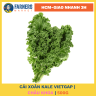 Cải Xoăn Kale An Toàn Vietgap Châu Khoa (500G) thumbnail