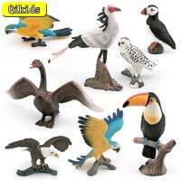 Animal De Floresta Infantil, Tucano Coruja Da Neve,Guia De Cabeçalho Branco, Arara, Cisne Cinzento, Gaivota, Cobra, Águia,Pssaros,Brinquedo Educativo