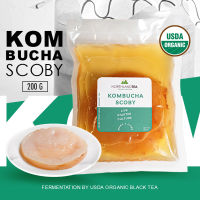 Organic Kombucha SCOBY &amp; Culture Starter 200 ml. สโคบี้หัวเชื้อ สำหรับหมักชา ชาหมัก คอมบูชา พร้อมน้ำตั้งต้น ออร์แกนิคแท้ 100%