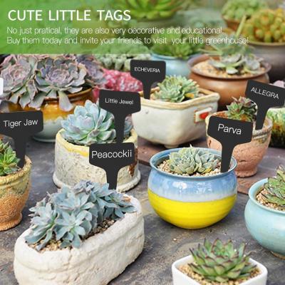 Thickened Gardening Flower Label Plant Label Succulent Brand Label Gardening For Flower Label Plastic K4L4