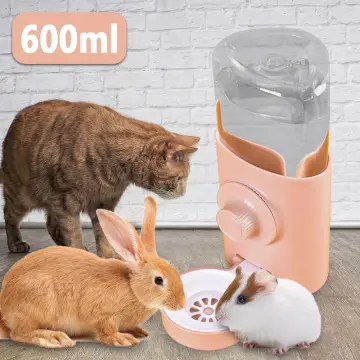 Hamster water on sale bottle for cats