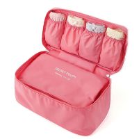 Cosmetic Underwear Organizer Lingerie Bra Travel Organizer Storage Bag Luggage Suitcase Pouch Zip Cases Clothes Bra ?