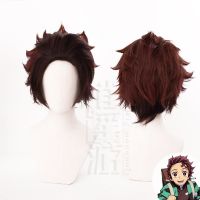 Cosplay wig Ghost Slayer Blade Kamado Tanjiro Gradient Reversed Big Back Head Cos วิกผม