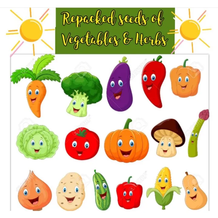 Vegetable seeds and herbs Talong,Okra,Tomato,Bell Pepper,Pechay, Sitaw