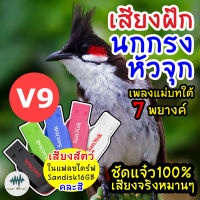 เสียงนกกรงหัวจุกV9 แม่บทใต้7พยางค์ เมม/แฟลชไดร์ฟ ฝึกนกกรงหัวจุก มีเก็บเงินปลายทาง เสียงจริง ชัดแจ๋ว 100% ไม่มีโฆษณาแทรก (MP3 เสียงต่อสัตว์)