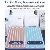 Electric Blanket Heater Warmer Heated Thermostat Electric Heating Bed Warm Pad Automatic Bed Mattress Carpets Mat 220V EU Plug