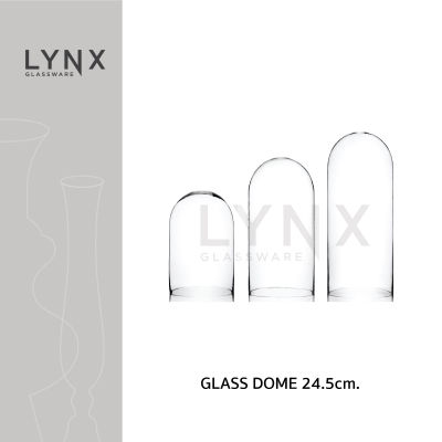 LYNX - GLASS DOME 24.5 - โดมฝาครอบแก้ว แฮนด์เมด เนื้อใส แบบปากตัด ขนาดปากกว้าง 24.5 ซม. มีความสูง 3 ขนาดให้เลือก