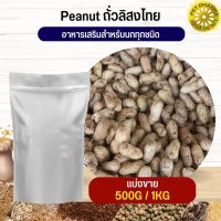 ถั่วลิสงไทย Thai PeaNut อาหารนก กระต่าย หนู กระต่าย  ชูก้า และสัตว์ฟันแทะ สะอาดได้คุณภาพ(แบ่งขาย 500G / 1KG)