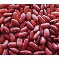 Rajma Red (Kidney Beans) 500g ถั่วไต