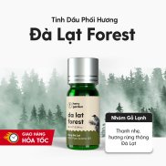 Fragrance Oil Blends Da Lat Forest - Use For Aromatherapy Diffuser