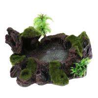 CCWonder Terrarium ชามน้ำดื่มน้ำด้วย