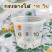 กระถางใส กระถางปลูกต้นไม้แบบใส 10 ใบ