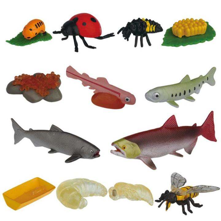 Life Cycle Toys Life Cycle Model Set With Realistic Figurines Animal ...