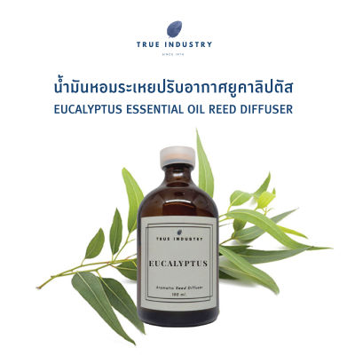 น้ำมันหอมระเหย ยูคาลิปตัส สำหรับปรับอากาศ (Eucalyptus Essential Oil Reed Diffuser)