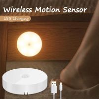 【CC】 Sensor Led Night USB Rechargeable Lamp Cabinet Wardrobe Closet