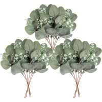 【cw】24Pcs Artificial Seeded Eucalyptus Leaves Stems Faux Silver Dollar Eucalyptus Plant nches for Wedding Holiday Decor ！