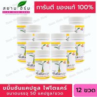 [12 ขวด] ขมิ้นชันแคปซูล ไฟโตแคร์ (องค์การเภสัชกรรม) 50 แคปซูล (ผลิตภัณฑ์สมุนไพรขายทั่วไป)