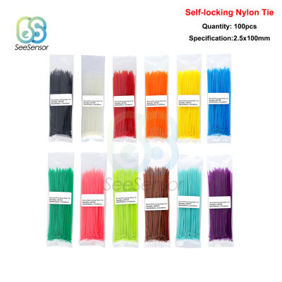 100pcs 100mm Self-locking NYLON CABLE TIES พลาสติก Zip Tie ยึดสายผูกห่อสายรัด 12 สี 2.5 มม.* 100 มม.-Yrrey