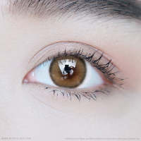 Olivia (Light brown) ค่าสายตา 0.00-10.00 คอนแทคเลนส์