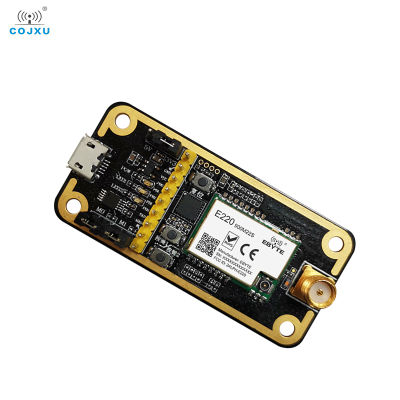 COJXU USB เพื่อ TTL คณะกรรมการทดสอบชุดสำหรับ E220-900M22S LLCC68 LoRa RF โมดูลพร้อมเสาอากาศ4dBi USB สายไฟ E220-900MBL-01