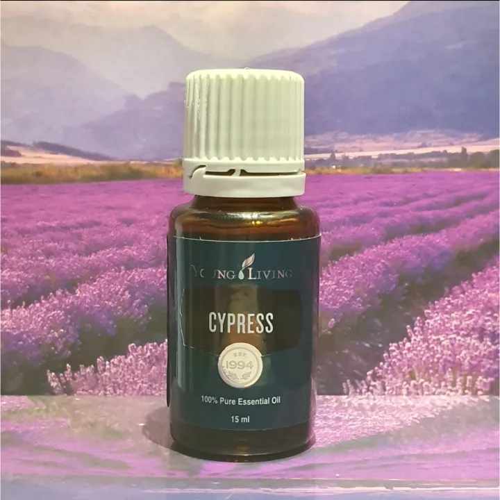 15ml Cypress Essential Oil Lazada PH