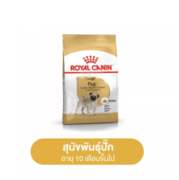 Royal Canin Pug Adult  3 kg โรยัล คานิน อาหารสุนัขโต พันธุ์ปั๊ก อายุ 10 เดือนขึ้นไป