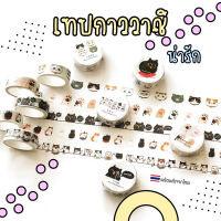 [พร้อมส่ง] เทป เทปกาว เทปวาชิ เทปน่ารัก แมว Cat แมวดำ Washi Tape