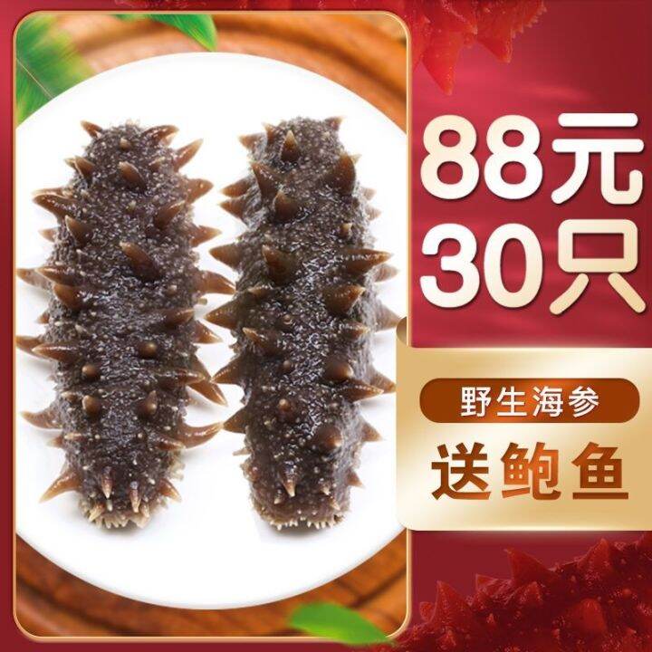 Readytoeat sea cucumber wild sea cucumber Dalian Liao cucumber non