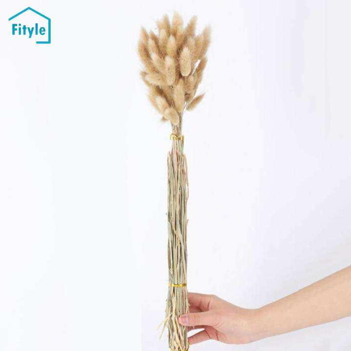 Fityle Natural Dried Flowers Bouquets Bunny Tail Plants Boho DIY Stems ...