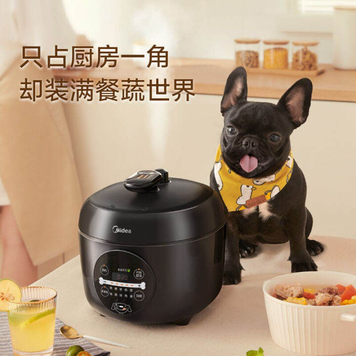 2.5l Household Automatic Intelligent Mini Electric Pressure Cooker