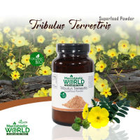 Organic/Bio Tribulus Terrestris Powder 100g