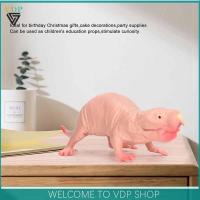 Naked Mole-Rat Model Wild Animal Figure Heterocephalus glaber Toys for Kid Decor