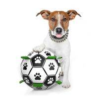【A Smart and Cute】ของเล่นฟุตบอลสัตว์เลี้ยงแบบโต้ตอบสุนัขที่ทนทาน IQ Puzzle Chew Teething Cleaning Balls For Accessories Training Soccer