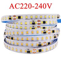 220V 2835 Led Strip Light 120LED/m 5m With IC IP67 Tube Waterproof Decoration White/ Warm White/ Natural White 12mm Width LED Strip Lighting