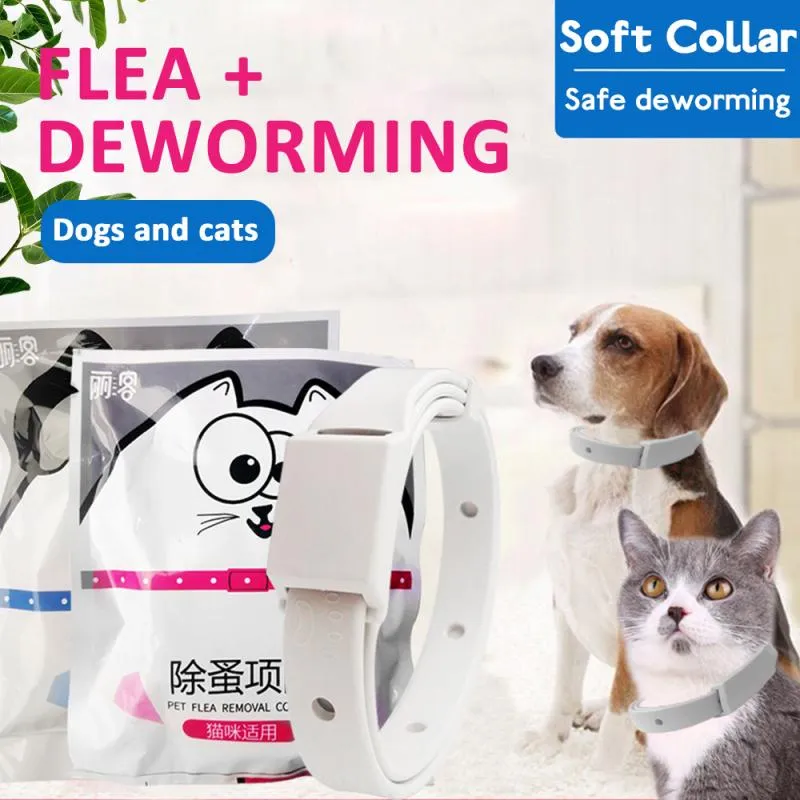 are dog flea collars safe for cats